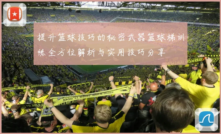 提升篮球技巧的秘密武器篮球梯训练全方位解析与实用技巧分享