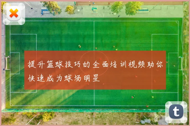 提升篮球技巧的全面培训视频助你快速成为球场明星