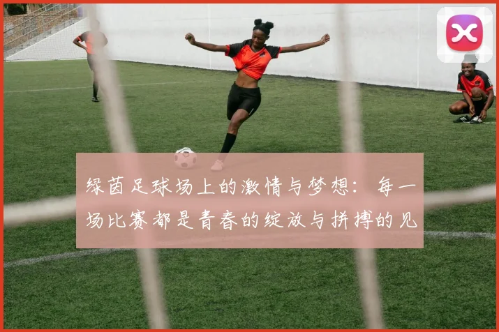 绿茵足球场上的激情与梦想：每一场比赛都是青春的绽放与拼搏的见证