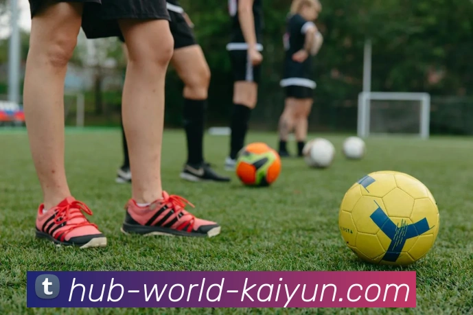 开云体育平台生态图