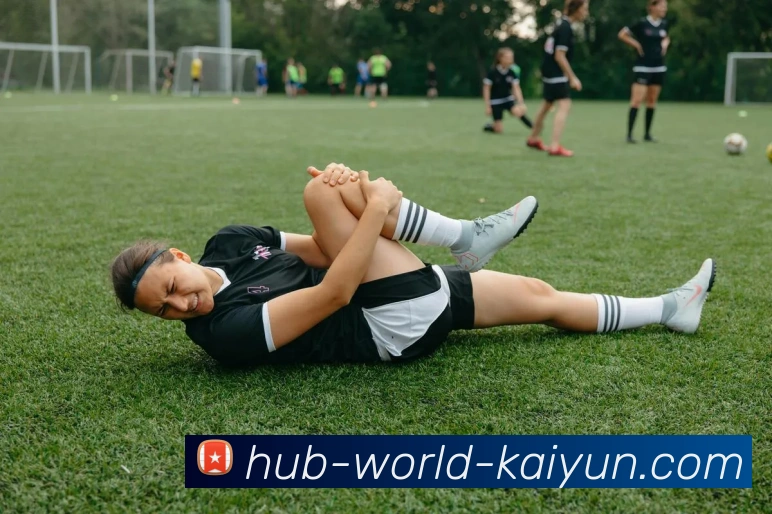 开云体育全站App